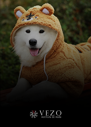 Curso de moda pet em Campinas